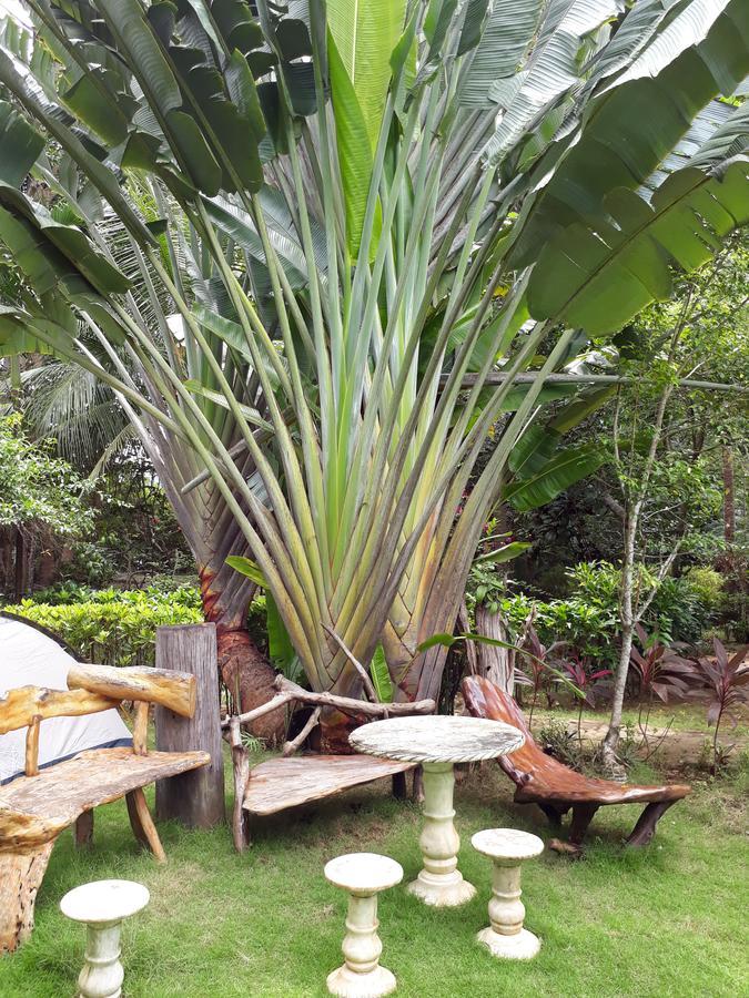 Dabdab Tourist Inn Sabang  Extérieur photo
