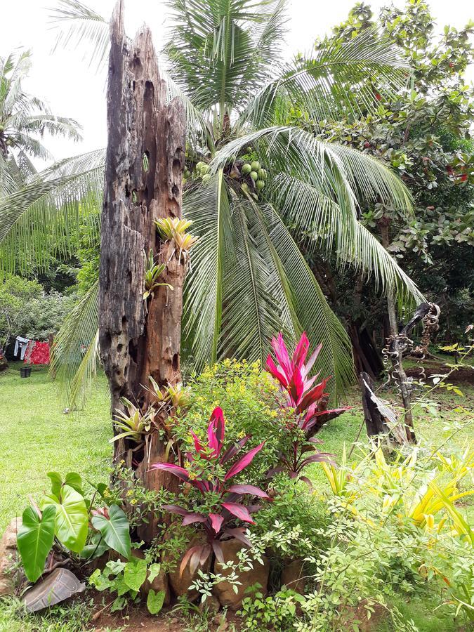 Dabdab Tourist Inn Sabang  Extérieur photo